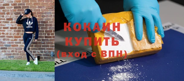 хмурый Абаза