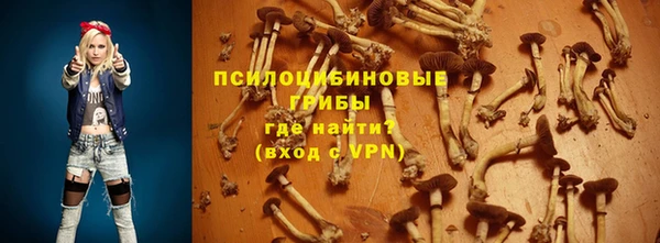 PSILOCYBIN Алексин