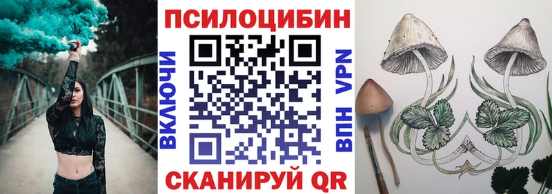 блэк спрут tor Елабуга Псилоцибиновые грибы Cubensis